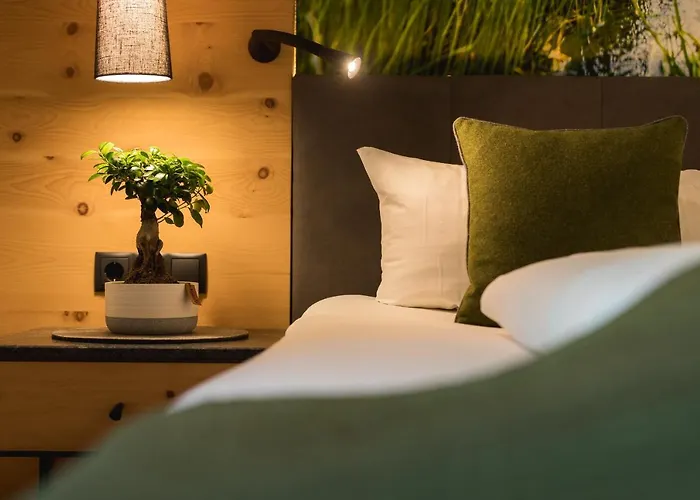 酒店 艾克特弗帕纳罗玛丹尼尔酒店