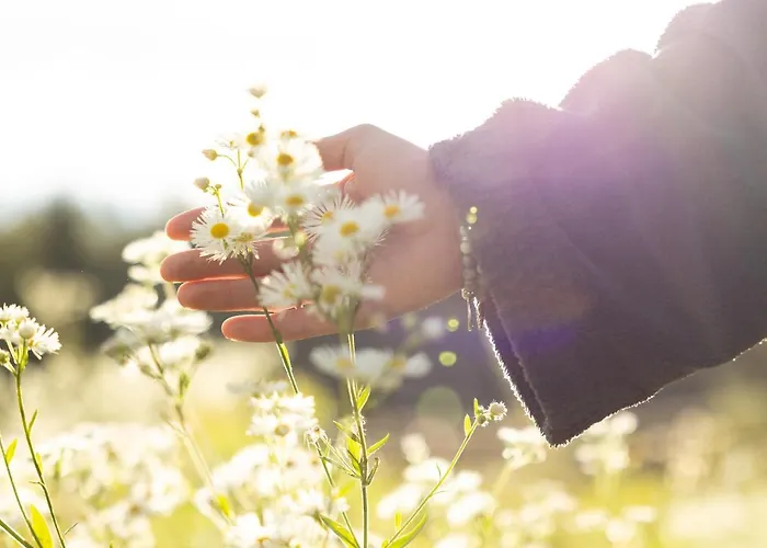 ホテル Aktiv Panoramahotel Daniel